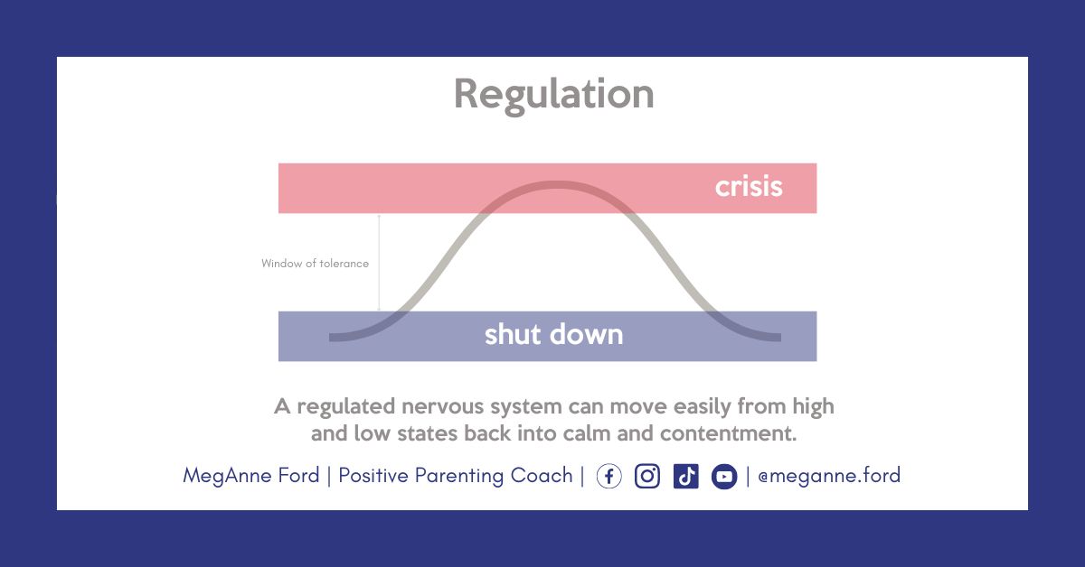 Blog 5.9 What is co-regulation? Will it help my parenting? Positive Parenting Coach MegAnne Ford