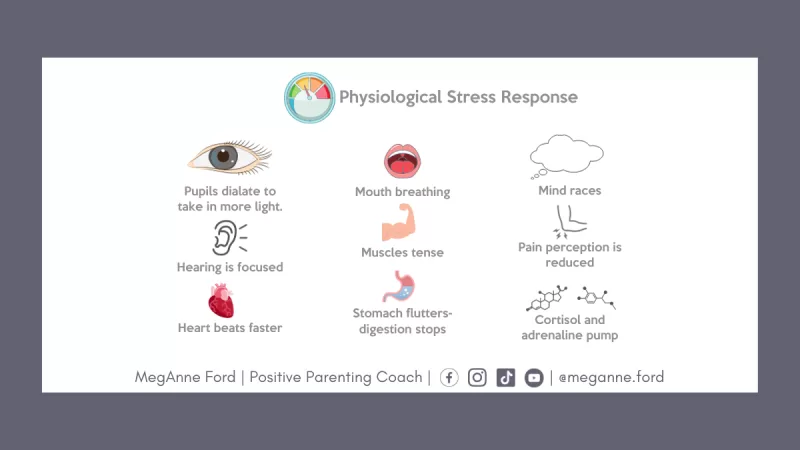 What does the “FREEZE” Response look like?